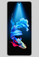 Samsung S20 Wallpaper - set background & download screenshot 2