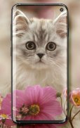 Cute Cats Live Wallpaper screenshot 6