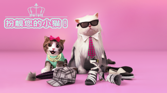 模拟猫咪 Cat Simulator screenshot 1
