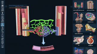 3D Organon screenshot 7