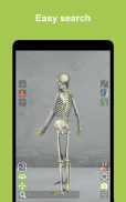 Corporis Anatomy | Interactive 3D Human Body Atlas screenshot 7