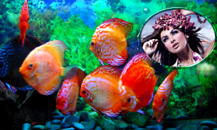 Aquarium Selfie Photo Frames screenshot 5