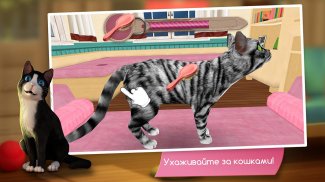 CatHotel - Мой приют для кошек screenshot 3