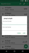 Maarif ul Quran English screenshot 5
