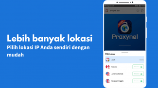 Proxynel: web proxy browser screenshot 4