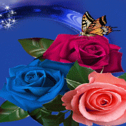 Multicolor Roses Butterfly LWP screenshot 3