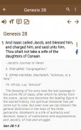 Bible Study apps screenshot 1