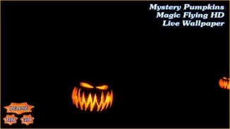 Mystery Pumpkins Magic Flying screenshot 5