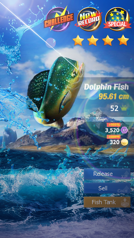 Dolphin Fish Game