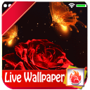 Magical Red Rose Live Wallpaper 2019 Red Rose