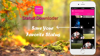 Status Downloader screenshot 0