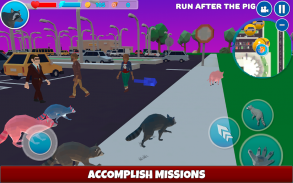 Raccoon Adventure Simulator 3D screenshot 1