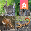 Animals Quiz - learn & guess Icon