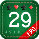 29 Card Game Pro Icon
