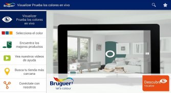 Bruguer Visualizer screenshot 5