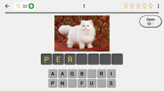 Cats Quiz - Guess Photos of All Popular Cat Breeds screenshot 5