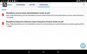 BlackBerry Access screenshot 11