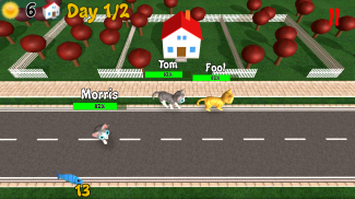 Hungry Cats screenshot 4