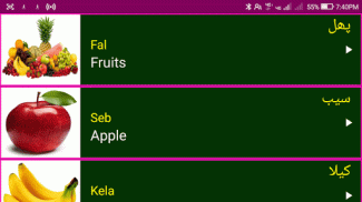 Learn Urdu From English screenshot 11