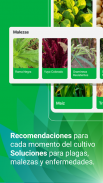 YPF Agro Catálogo screenshot 1