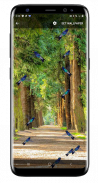 Birds Flying Live Wallpaper screenshot 9