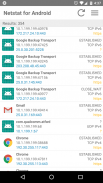 Netstat for Android screenshot 1