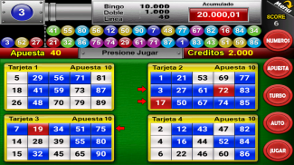 Bingo Nine Balls screenshot 2