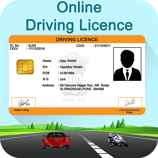 online driving licence