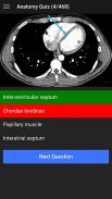 UBC Radiology screenshot 3