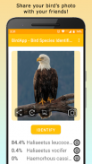 BirdsID - Identify Birds screenshot 1