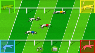 Dog Race Game screenshot 0