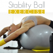 Stability Ball Exercises screenshot 2