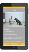 Dog and Puppy Training! exercises and tricks screenshot 14