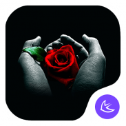 Rose|APUS Launcher theme screenshot 2