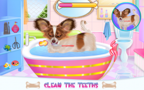 Papillon Puppy Care screenshot 4