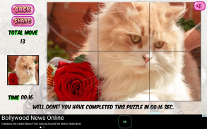 Puzzles of Kittens Free screenshot 11