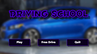 Driving School screenshot 0