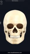 Skull Anatomy Pro. screenshot 2