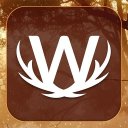 Word Wild Icon