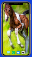 Horse Wallpaper HD screenshot 12