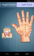 Reflexology Secrets screenshot 8