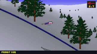 Deluxe Ski Jump 2 screenshot 4