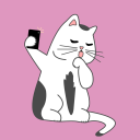 Cat Snaps - Photo Selfies for icon