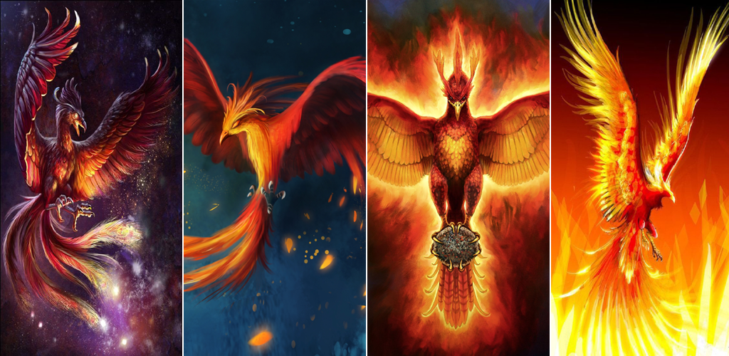 Phoenix edition