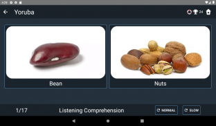 Yoruba Language Tests screenshot 14