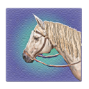 wild race west: horse riding s Icon