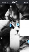 Cat puzzle screenshot 8