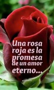 Rosas con Frases Bonitas screenshot 2