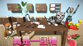 猫咪模拟器 - 和朋友们 Cat Simulator screenshot 1