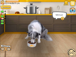 Fruwee Pets Real Dog Simulator screenshot 14